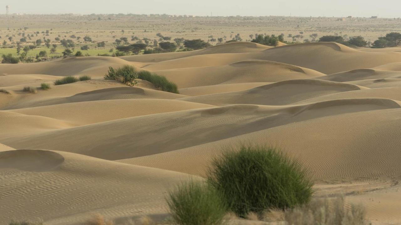 Hotel Helsinki House Jaisalmer Buitenkant foto